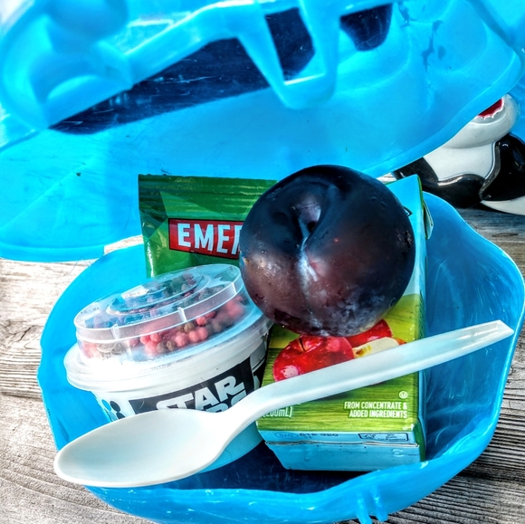 Set of 5 SeaWorld Shamu Lunchboxes - Picture 6 of 7